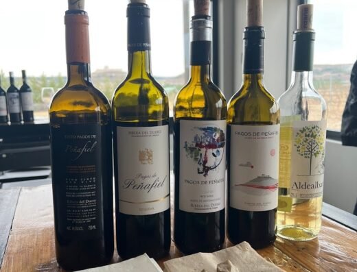 Bodega Hijos de Antonio Polo – Pagos de Peñafiel y Aldealbar