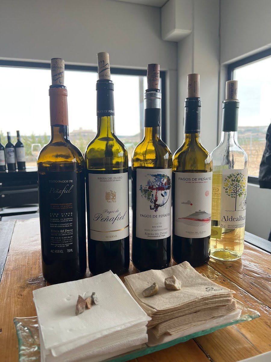 Bodega Hijos de Antonio Polo – Pagos de Peñafiel y Aldealbar