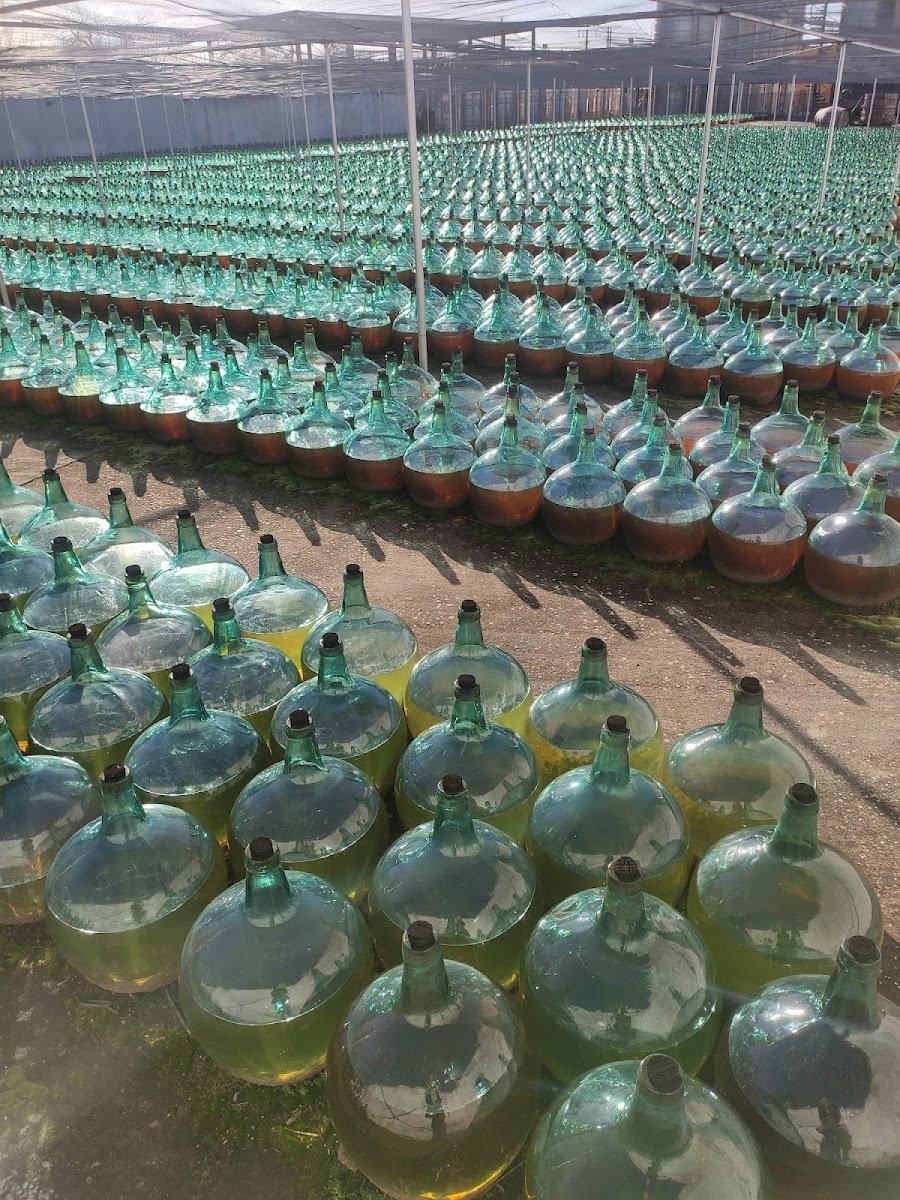 Bodegas De Alberto | Bodega Histórica y Enoturismo en la D.O. Rueda