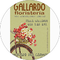 Paula Gallardo Gonzalez