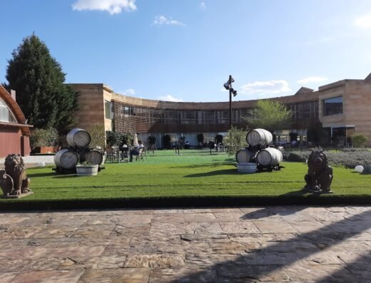 Bodega Pago Del Vicario
