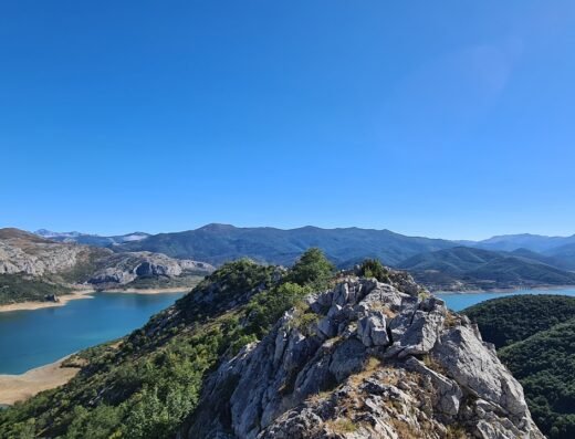 Pico de buitres