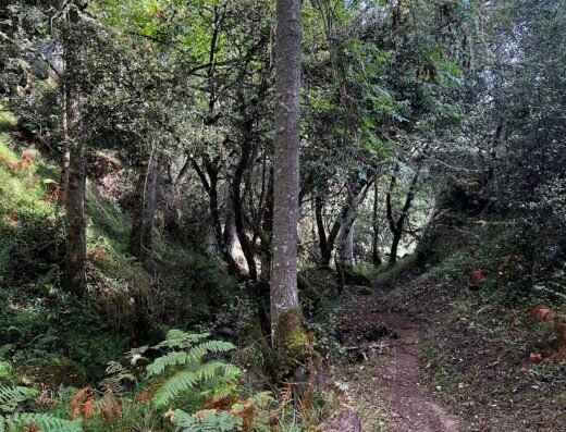 Cascadas de Retumbia