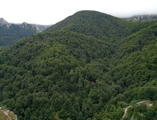 Parque Natural de Redes