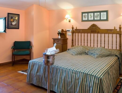 Hotel Palacio Buenavista