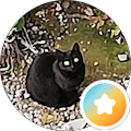JOS CAT