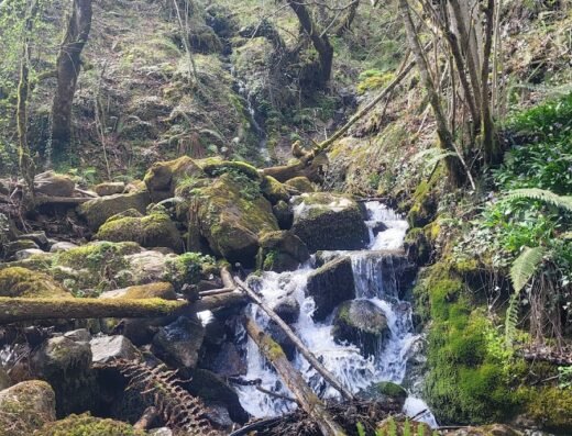 Ruta bajo los Picos