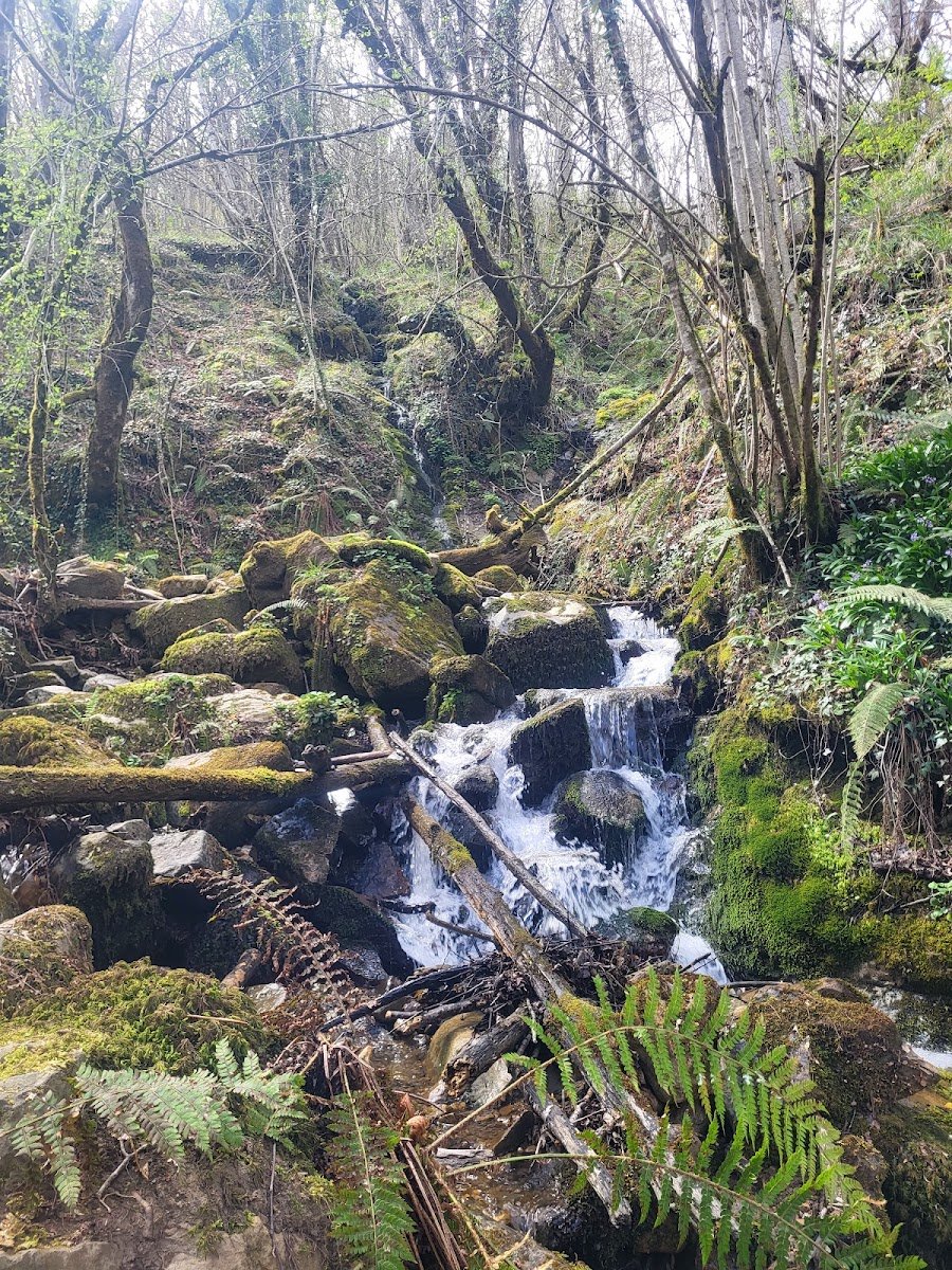 Ruta bajo los Picos