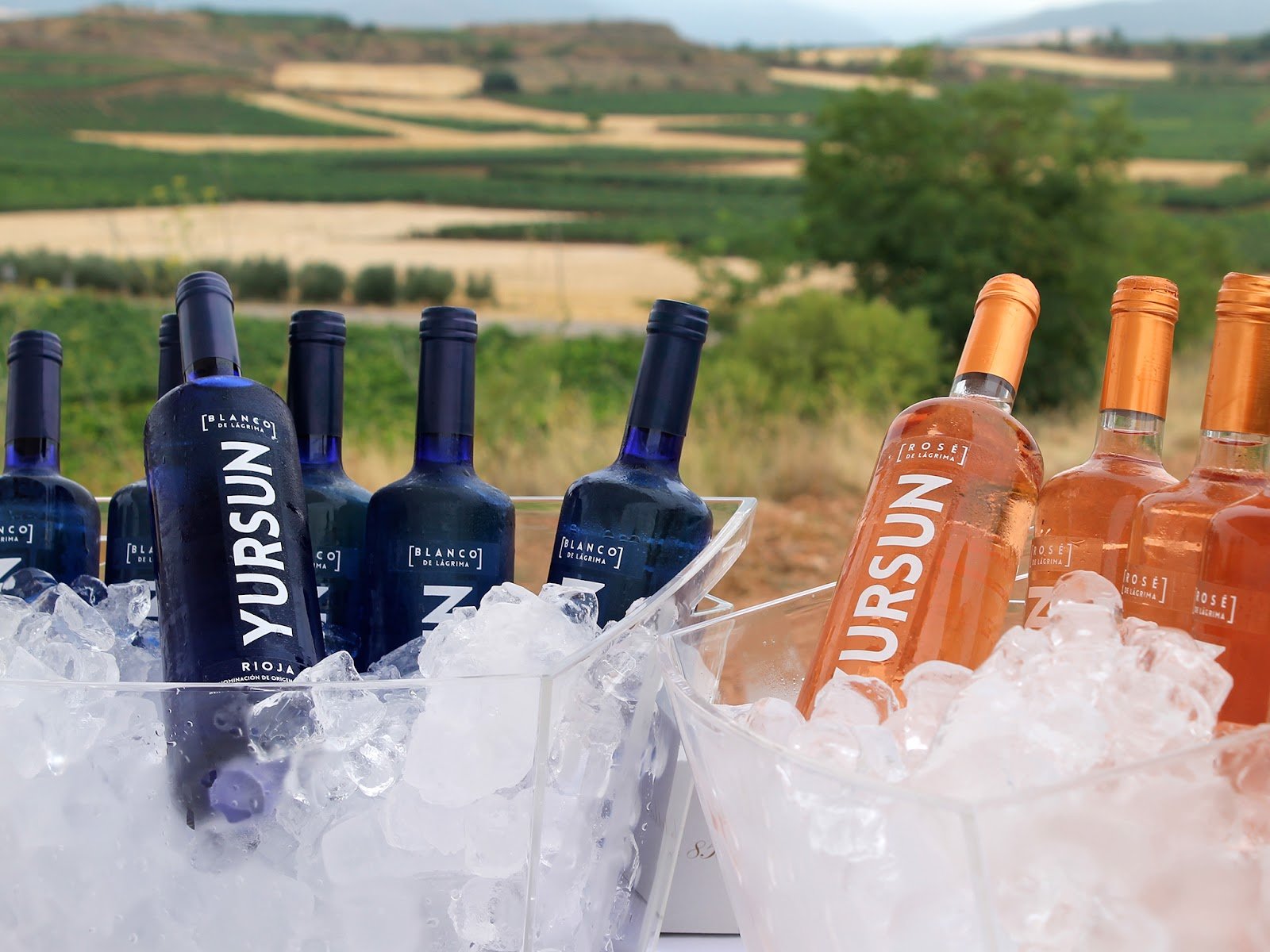 IVÁN DEL RÍO – Bodega Enoturismo
