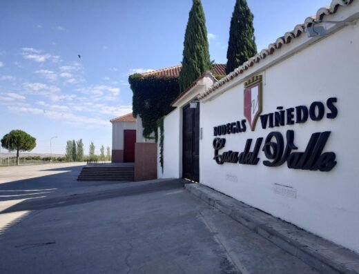 Bodegas y Viñedos Casa del Valle
