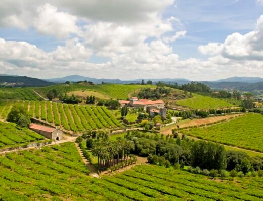 Bodega Pazo Baion_ Enoturismo Rías Baixas
