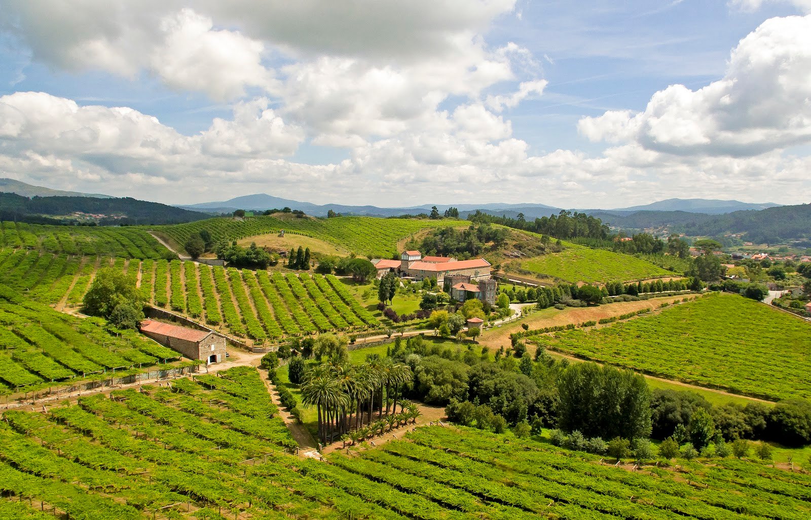 Bodega Pazo Baion_ Enoturismo Rías Baixas