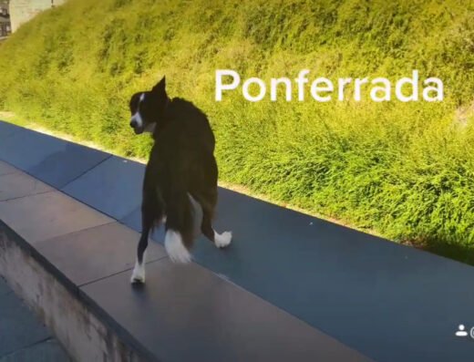 Castillo de los Templarios / Castillo de Ponferrada