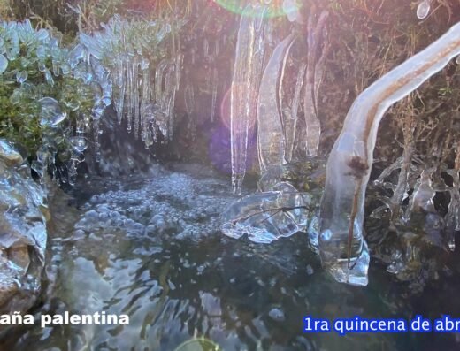 Parque Natural Montaña Palentina