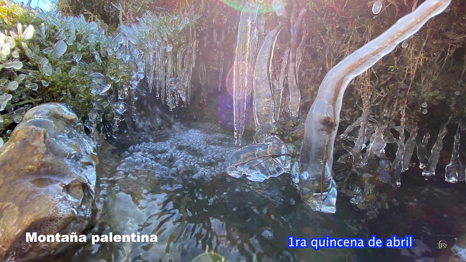 Parque Natural Montaña Palentina