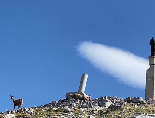 San Carlos o Sagrado Corazón