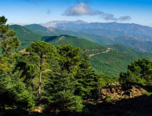 Paraje Natural Los Reales de Sierra Bermeja