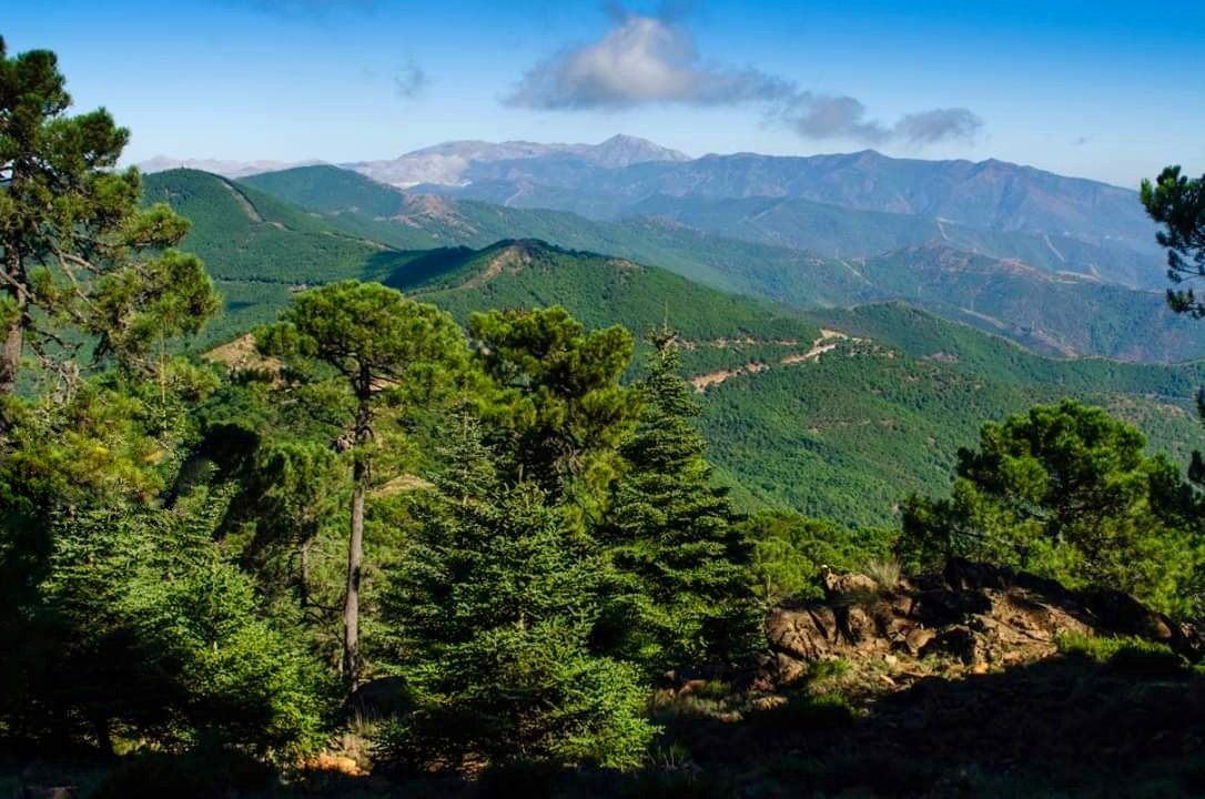 Paraje Natural Los Reales de Sierra Bermeja