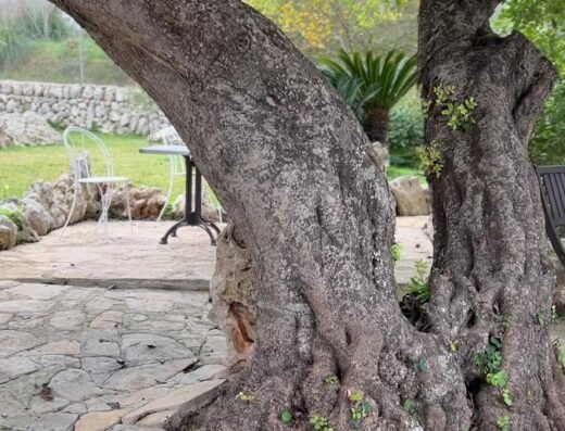 Agroturismo Ses Illes