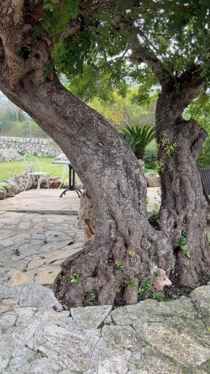 Agroturismo Ses Illes