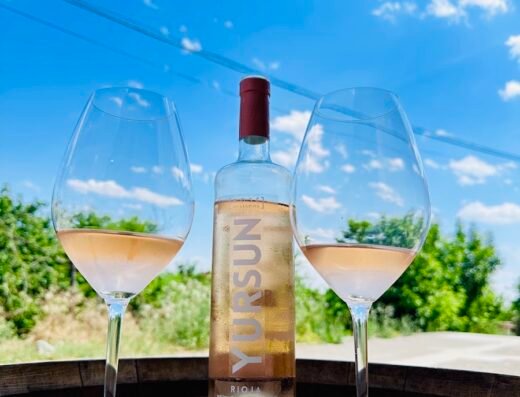 IVÁN DEL RÍO – Bodega Enoturismo