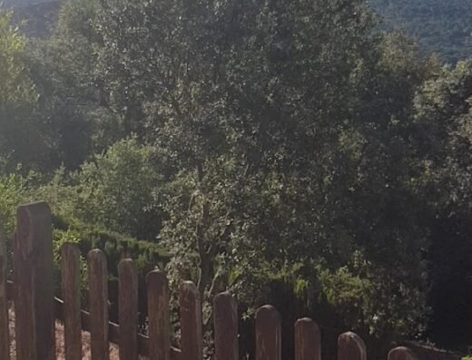 Casa Rural La Caballera Alta