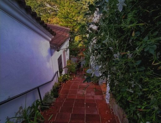 CASA EL CALLEJON DE BENAMAHOMA
