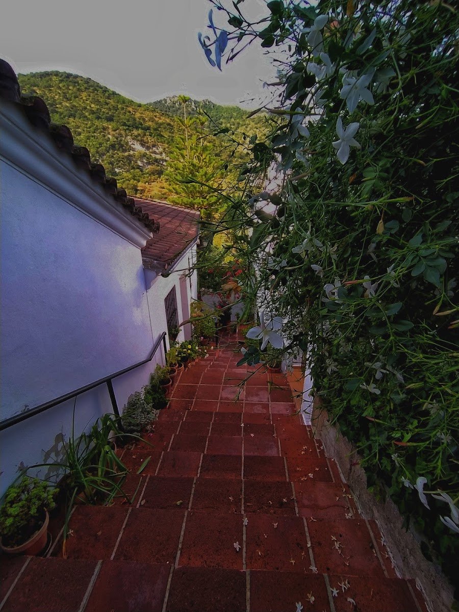 CASA EL CALLEJON DE BENAMAHOMA