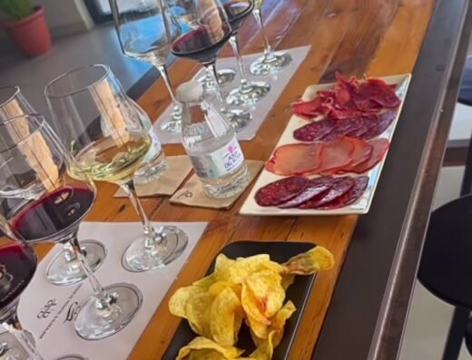 Bodega Hijos de Antonio Polo – Pagos de Peñafiel y Aldealbar