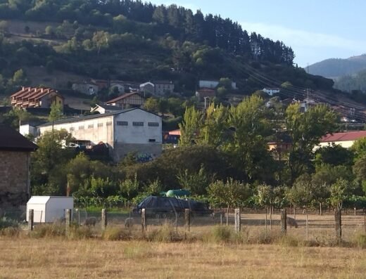 Sendero (monte la roja)