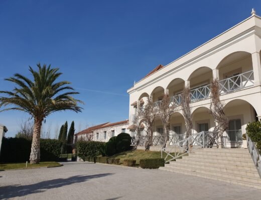 Bodegas y Viñedos Casa del Valle