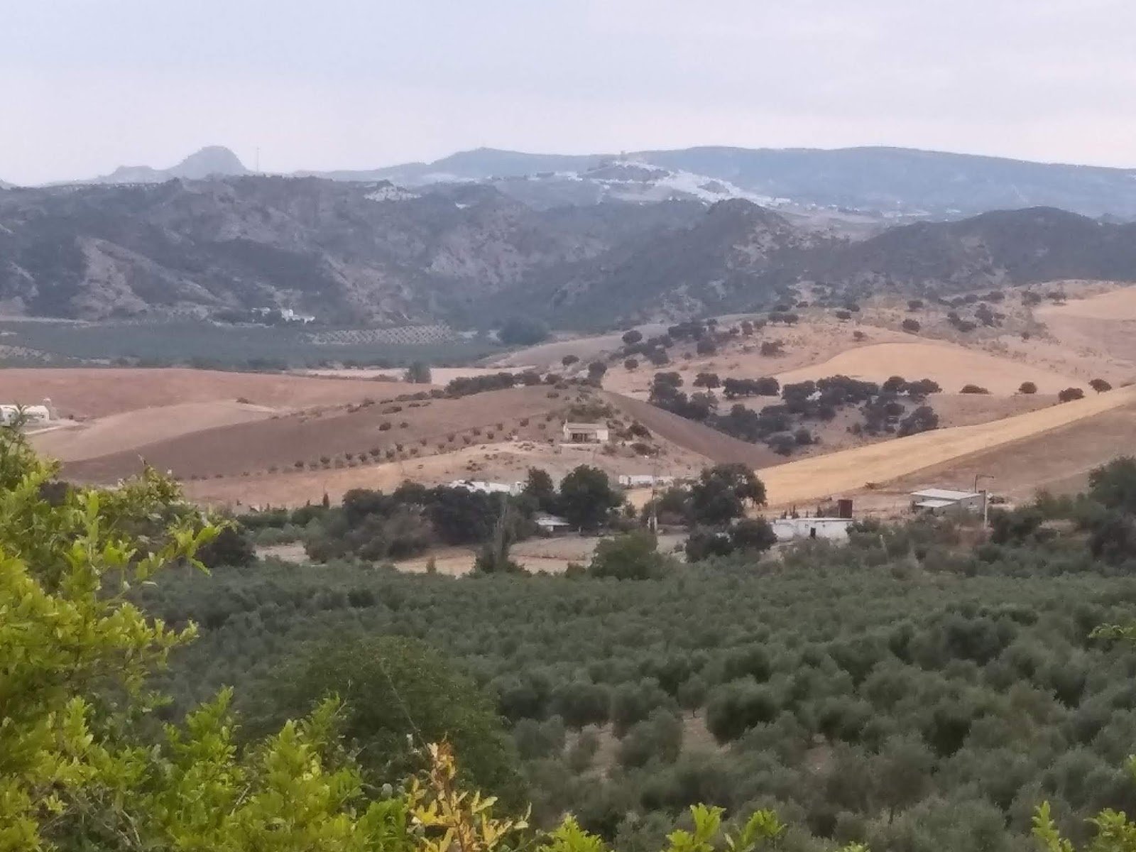Casa Rural Paquita