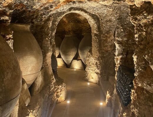 Bodegas y Viñedos Pedro Garcia