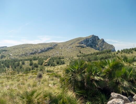Parc Natural de la Península de Llevant