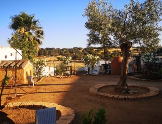 El Peco Bodegas y Viñedos Enoturismo