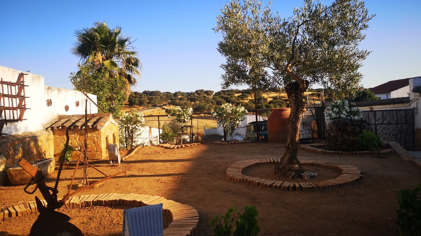 El Peco Bodegas y Viñedos Enoturismo