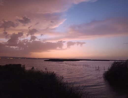 Parque Natural La Albufera