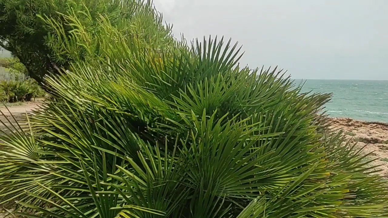Parque Natural Sierra de Irta