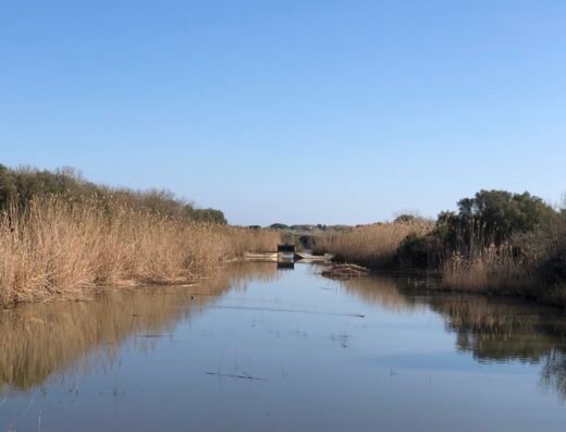 Parque Natural de s’Albufera de Mallorca