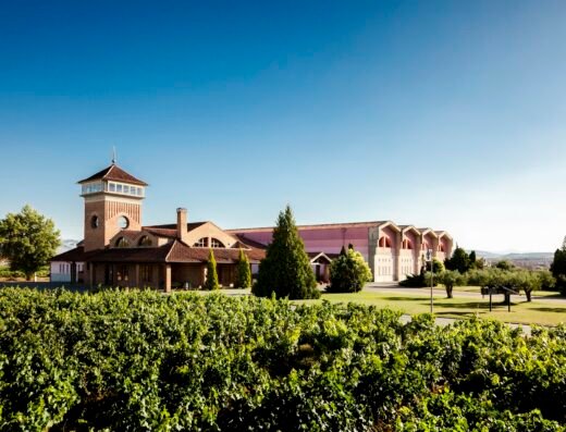 Bodegas Viña Ijalba
