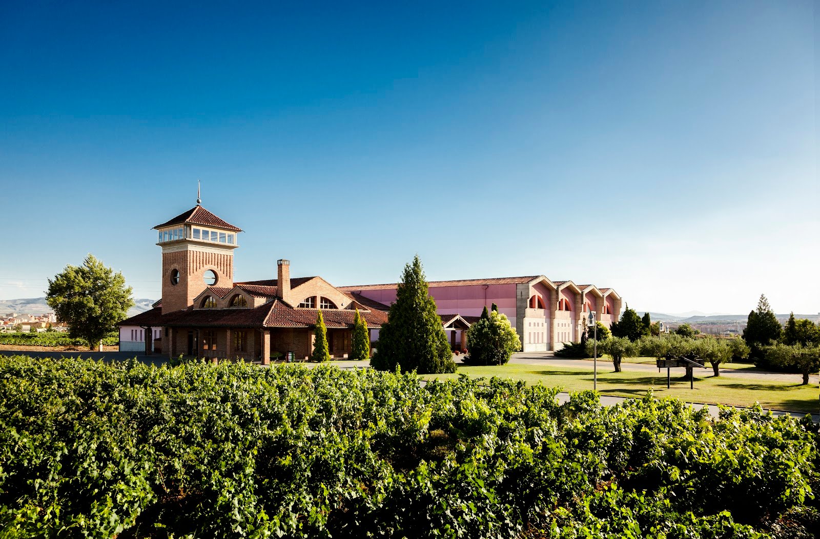 Bodegas Viña Ijalba