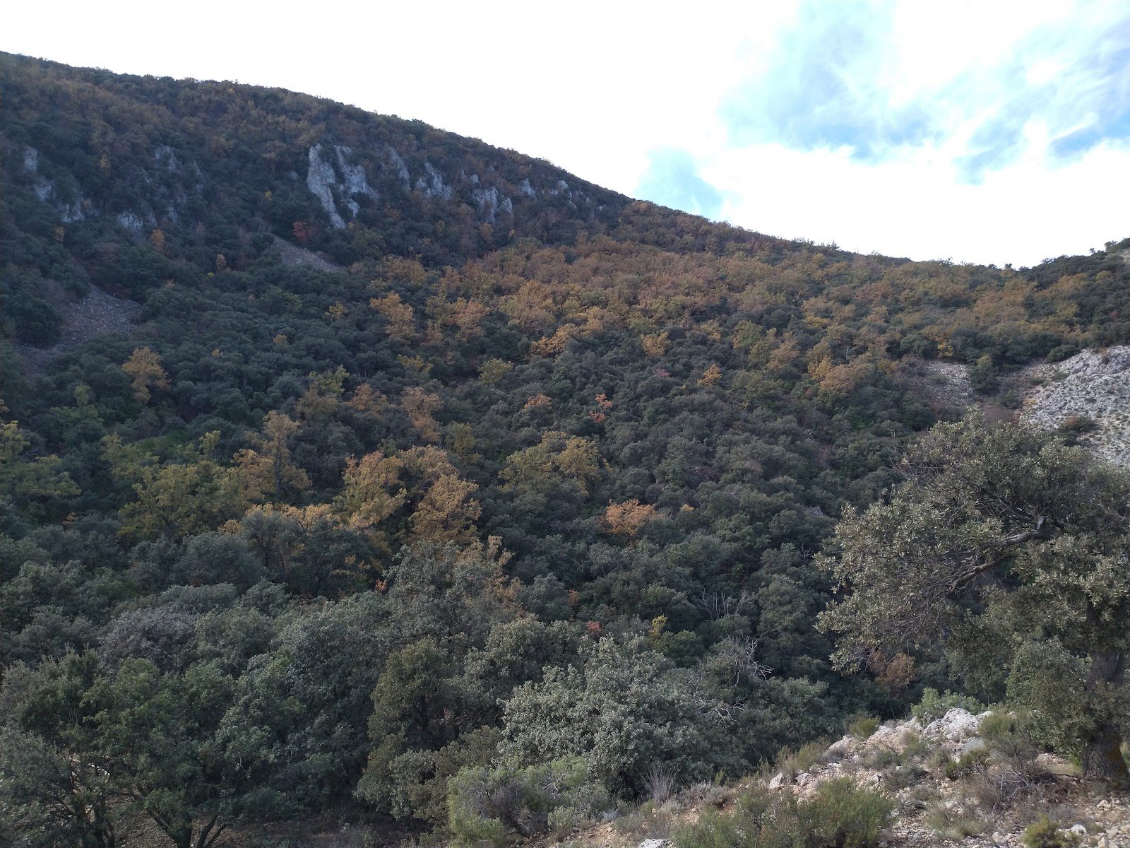 Parque natural del Carrascal de la Fuente Roja