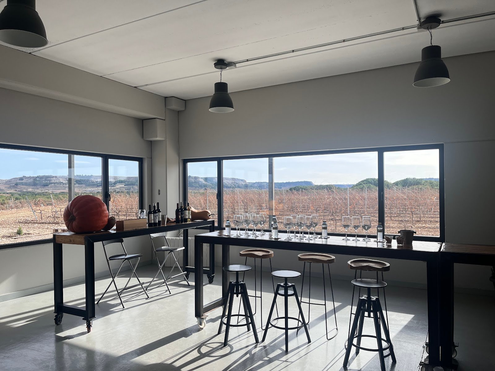 Bodega Hijos de Antonio Polo – Pagos de Peñafiel y Aldealbar