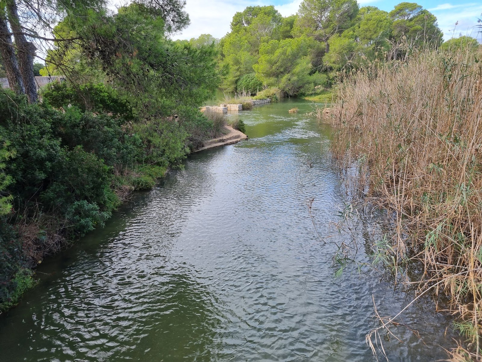 Parque Natural de s’Albufera de Mallorca