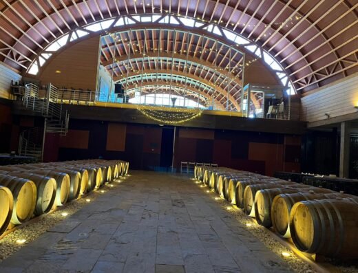 Bodega Pago Del Vicario