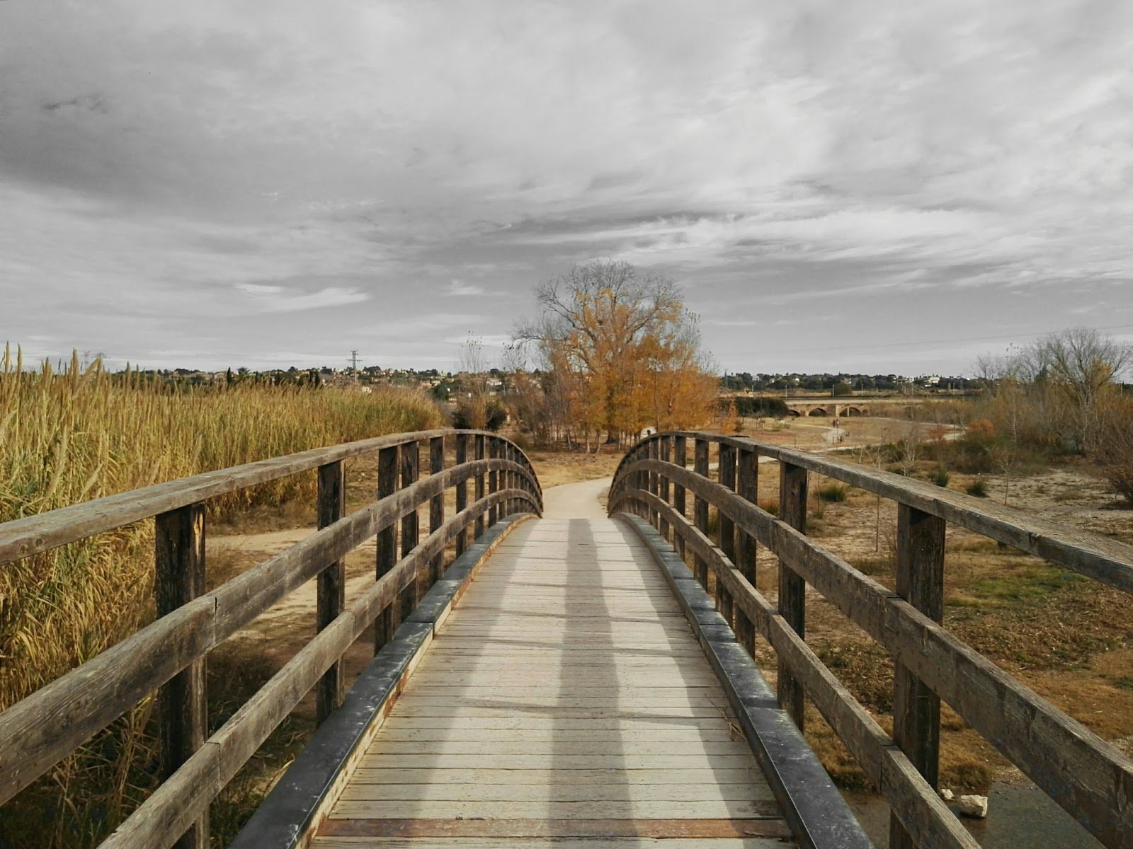 Parque Fluvial del Turia
