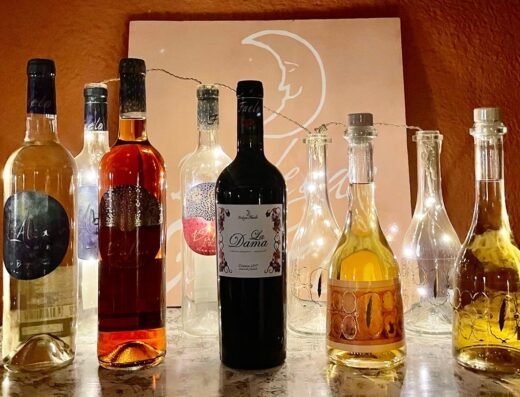Bodegas Faelo – Enoturismo