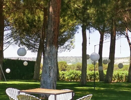 Hotel & Spa Arzuaga