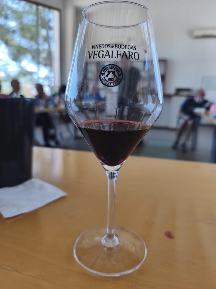 Bodegas Vegalfaro – Enoturismo Requena