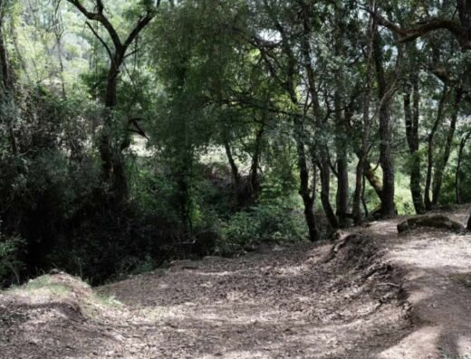 Área recreativa El Cerezuelo